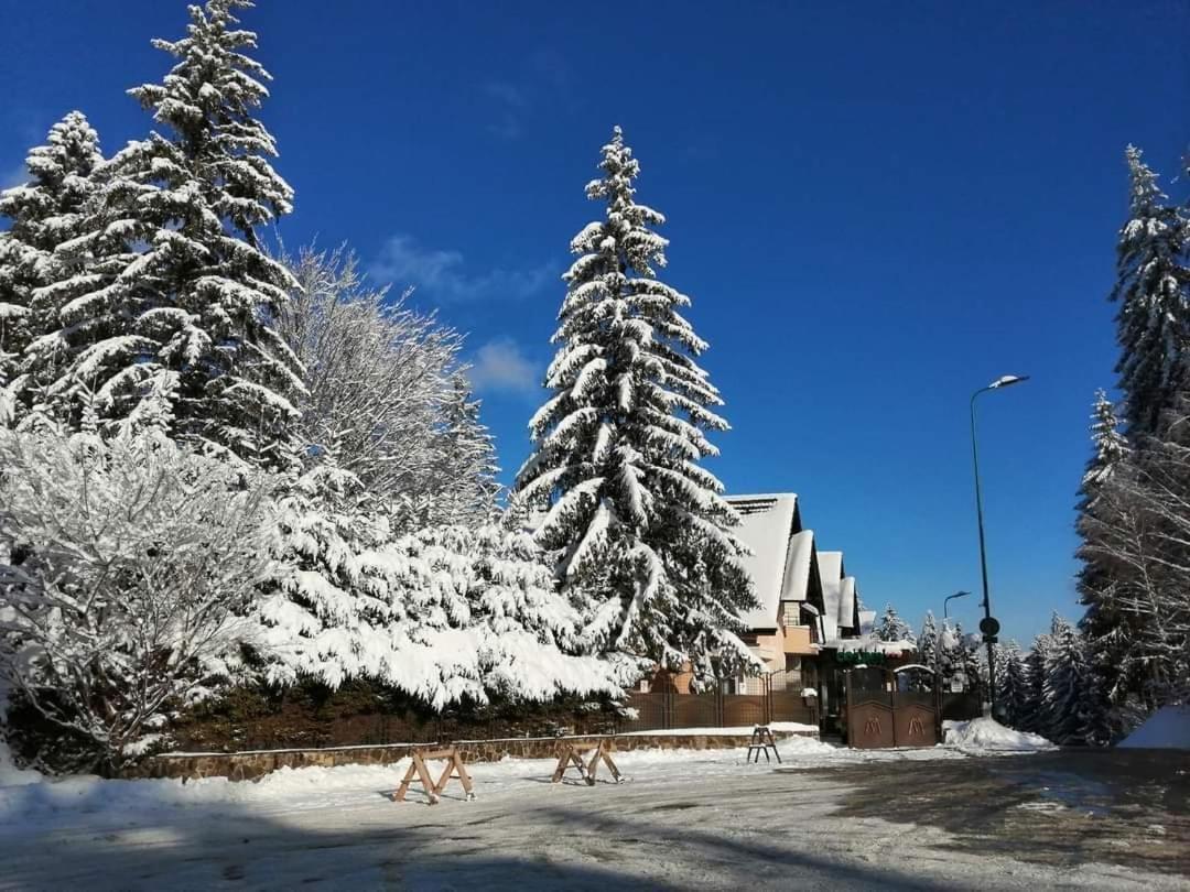 Pensiunea Colina Poiana Brasov Luaran gambar