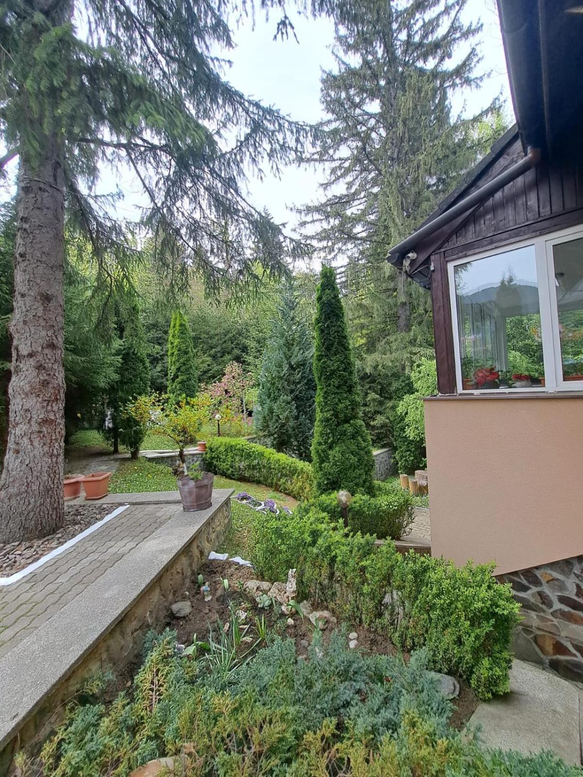 Pensiunea Colina Poiana Brasov Luaran gambar