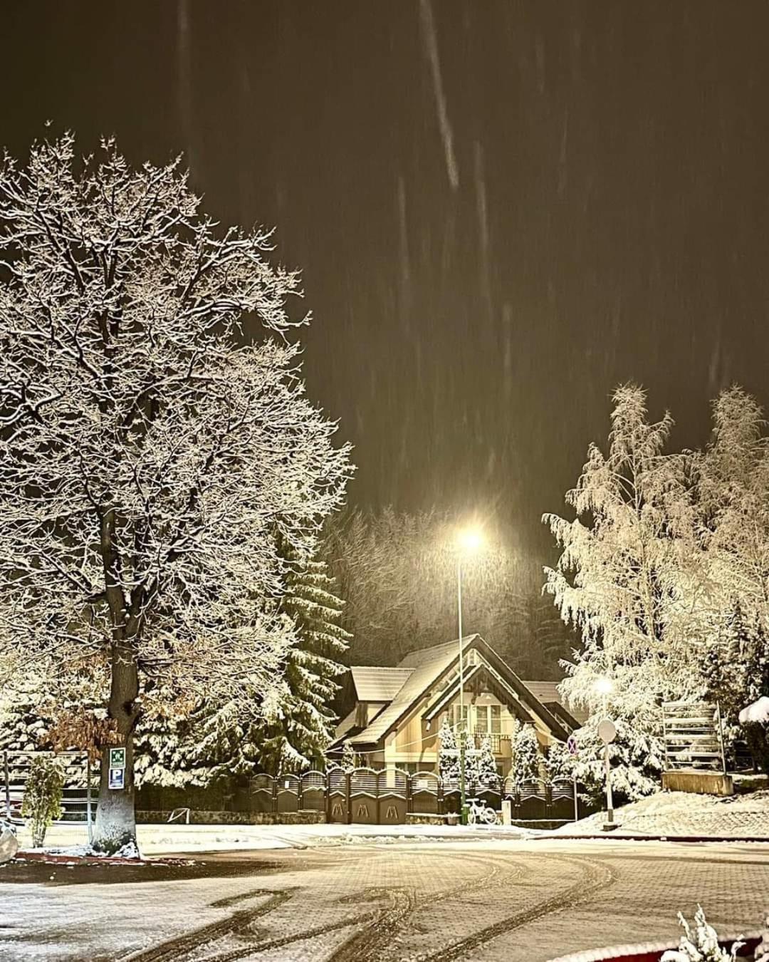 Pensiunea Colina Poiana Brasov Luaran gambar