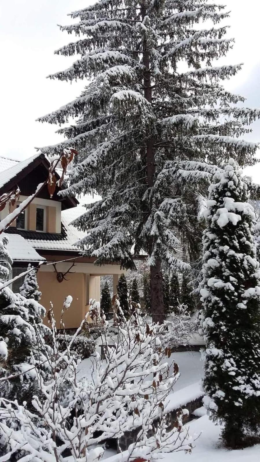 Pensiunea Colina Poiana Brasov Luaran gambar