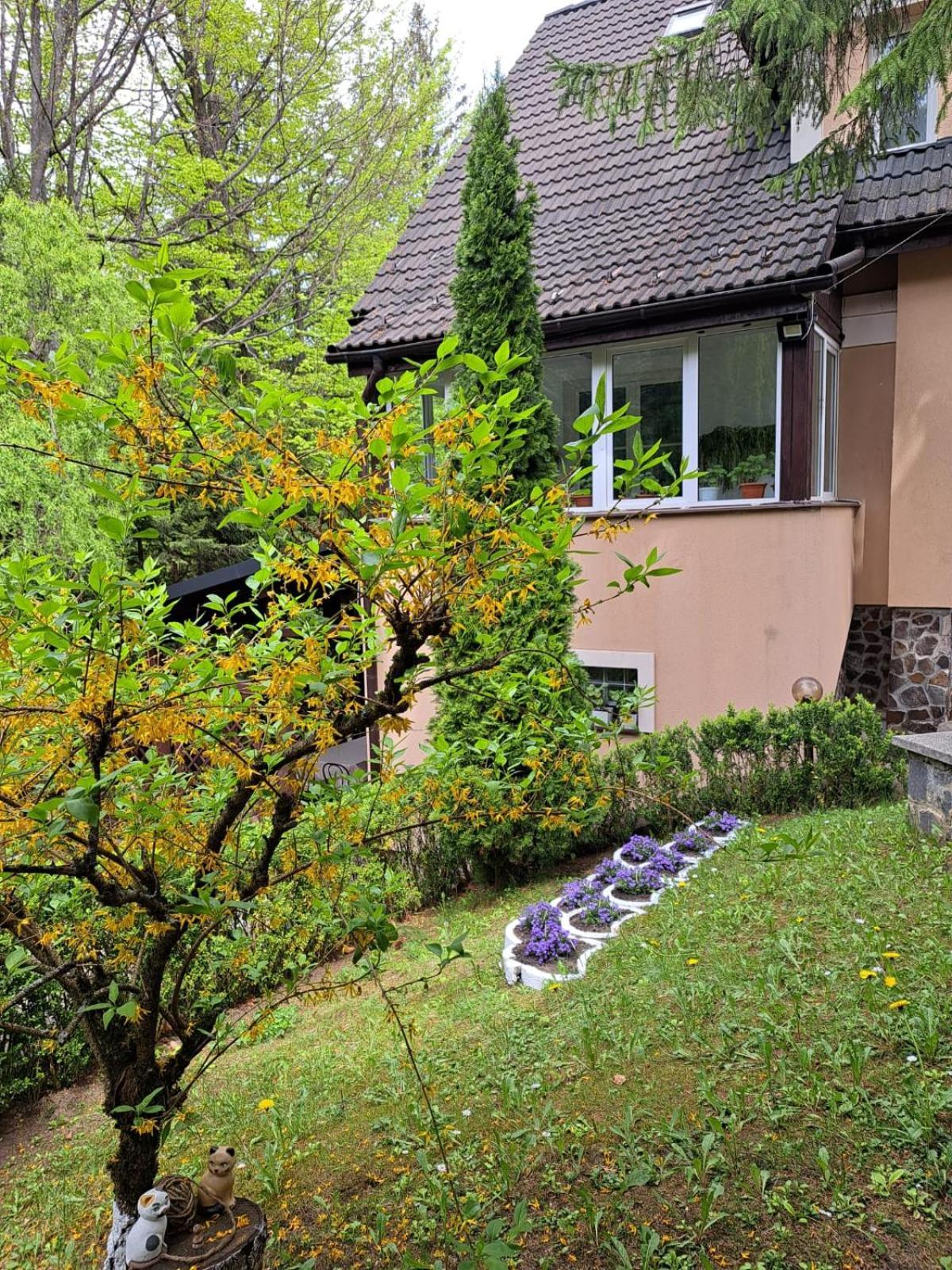 Pensiunea Colina Poiana Brasov Luaran gambar