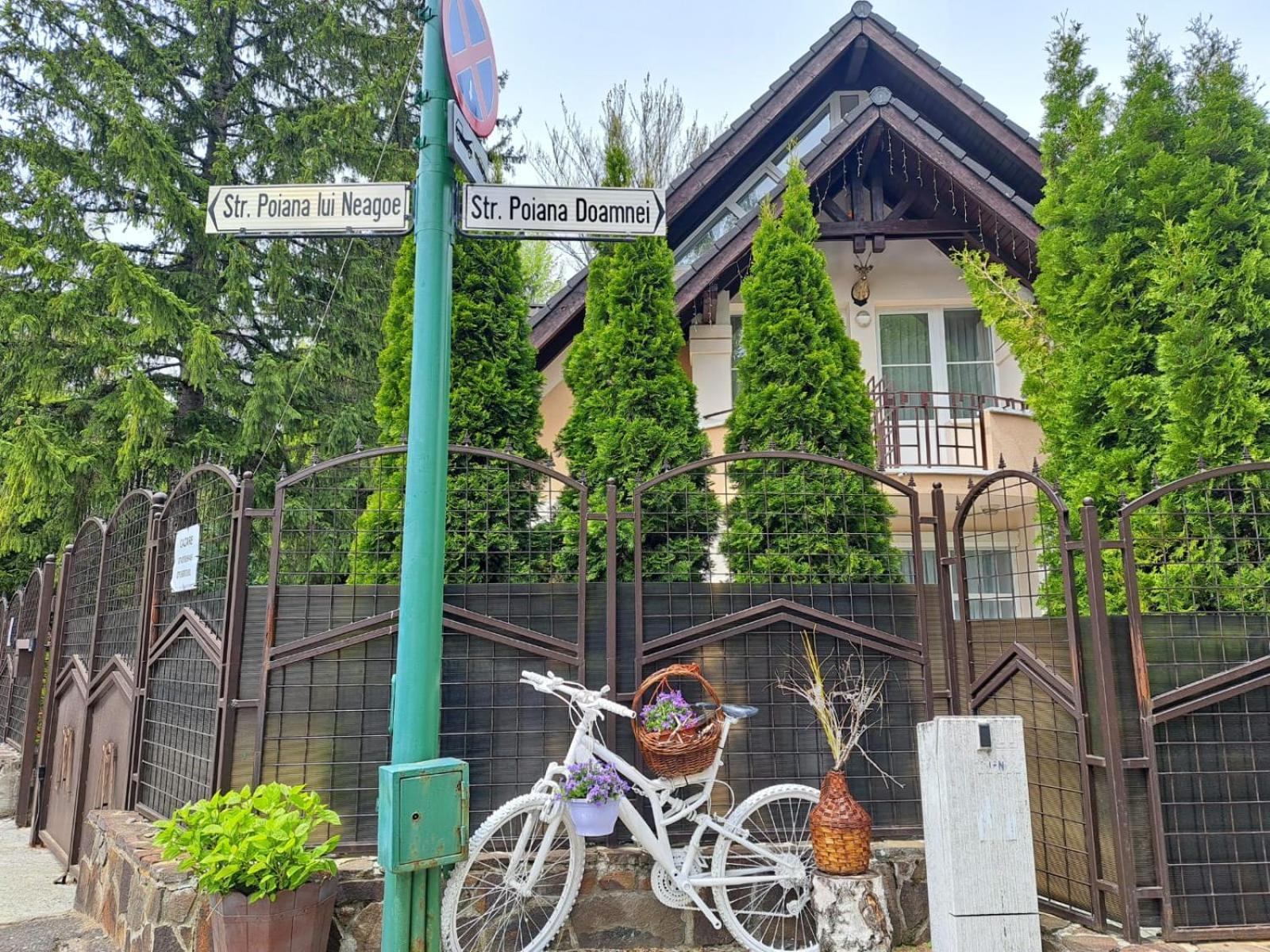Pensiunea Colina Poiana Brasov Luaran gambar