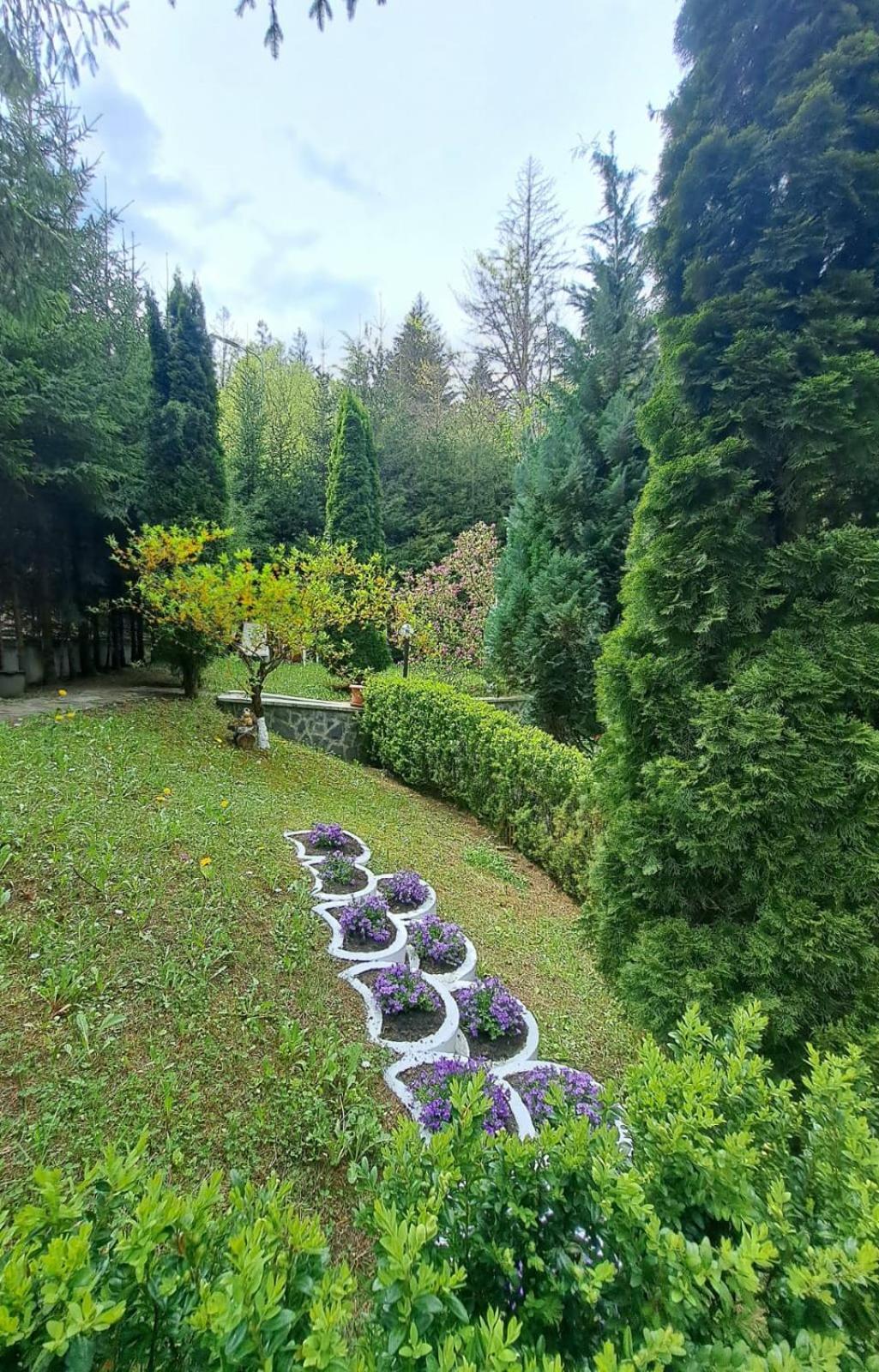 Pensiunea Colina Poiana Brasov Luaran gambar