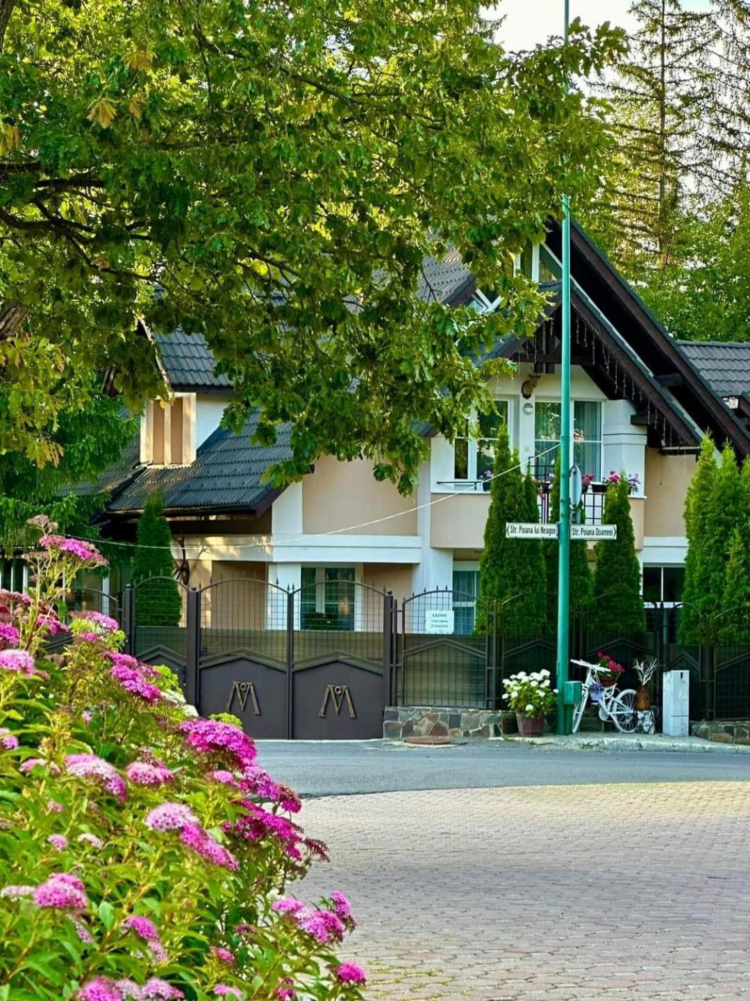 Pensiunea Colina Poiana Brasov Luaran gambar
