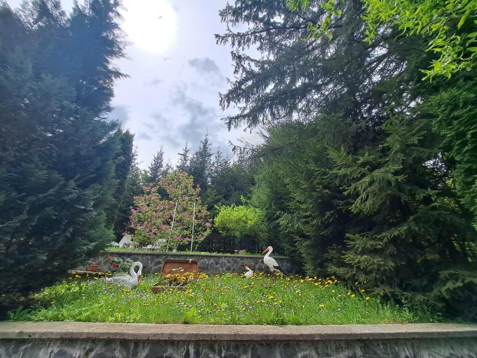 Pensiunea Colina Poiana Brasov Luaran gambar