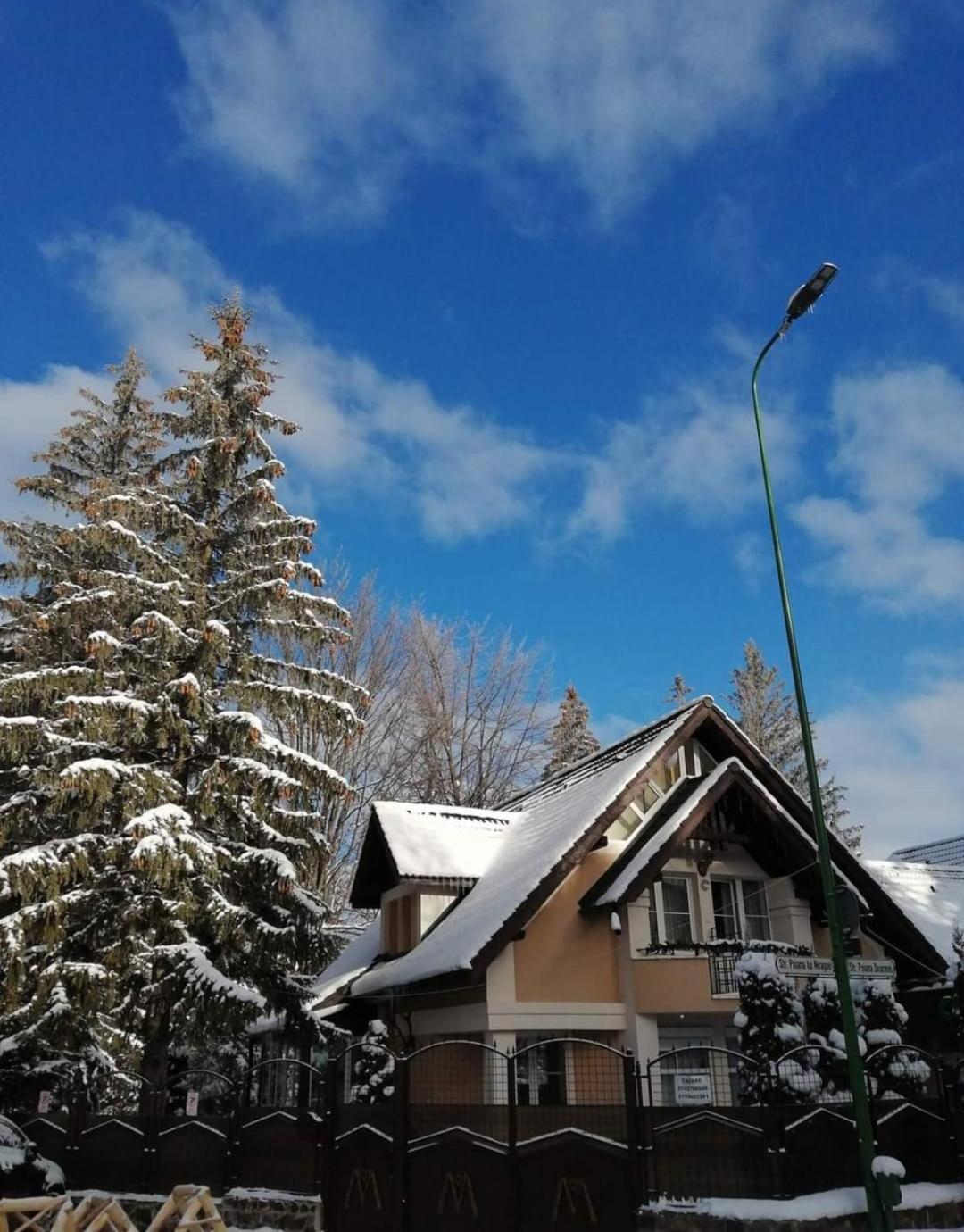 Pensiunea Colina Poiana Brasov Luaran gambar