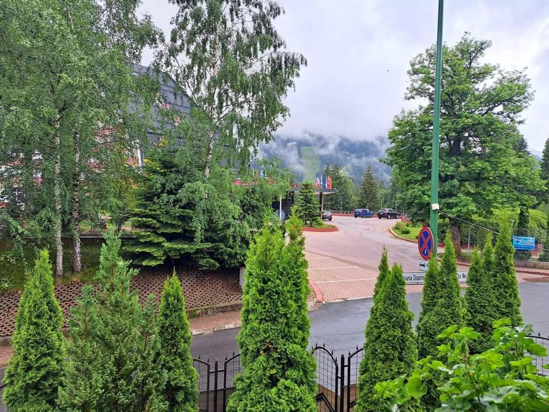 Pensiunea Colina Poiana Brasov Luaran gambar