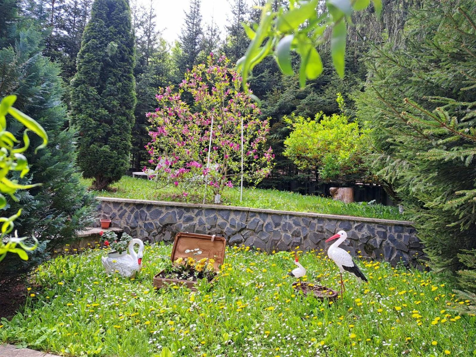 Pensiunea Colina Poiana Brasov Luaran gambar