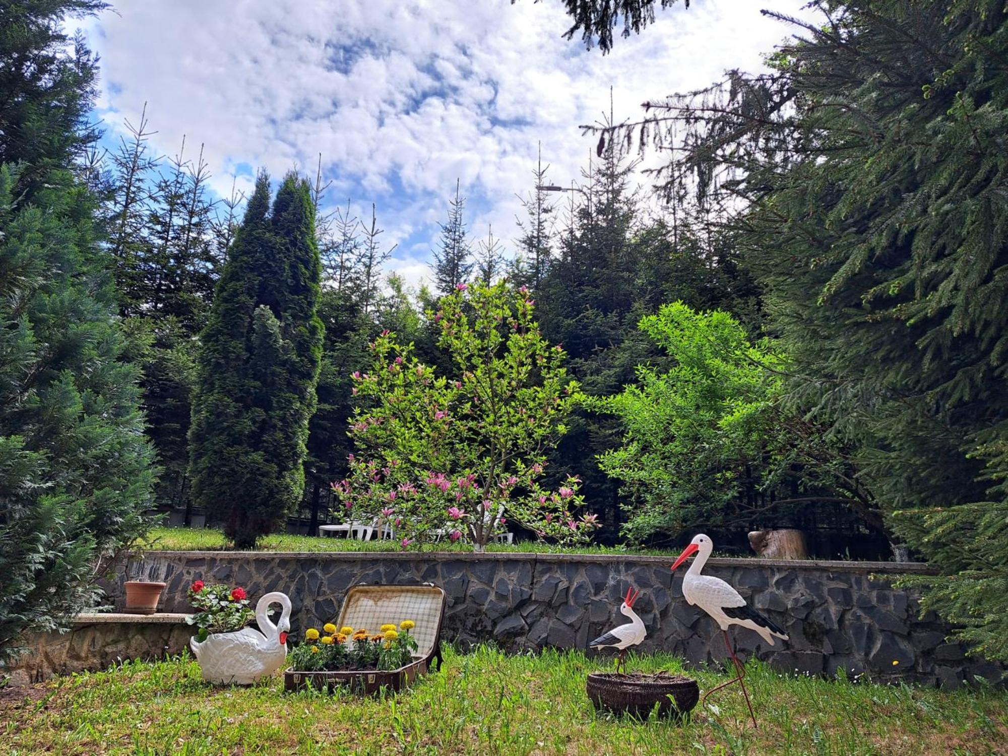 Pensiunea Colina Poiana Brasov Luaran gambar