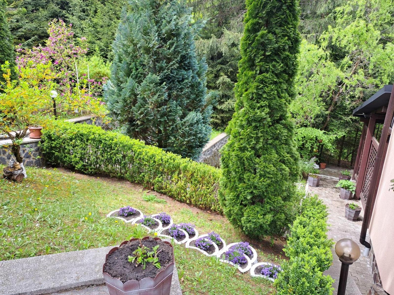 Pensiunea Colina Poiana Brasov Luaran gambar