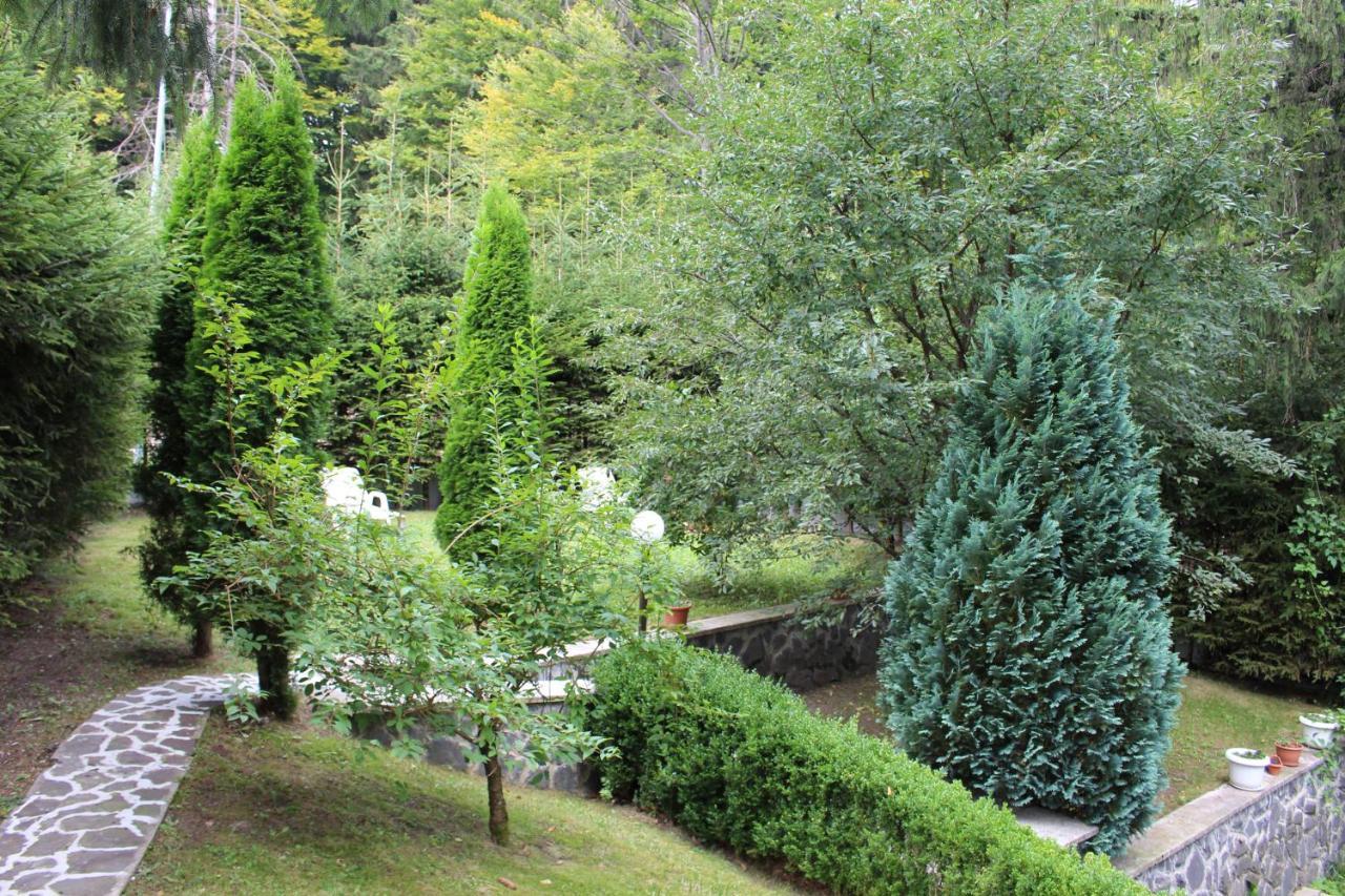 Pensiunea Colina Poiana Brasov Luaran gambar