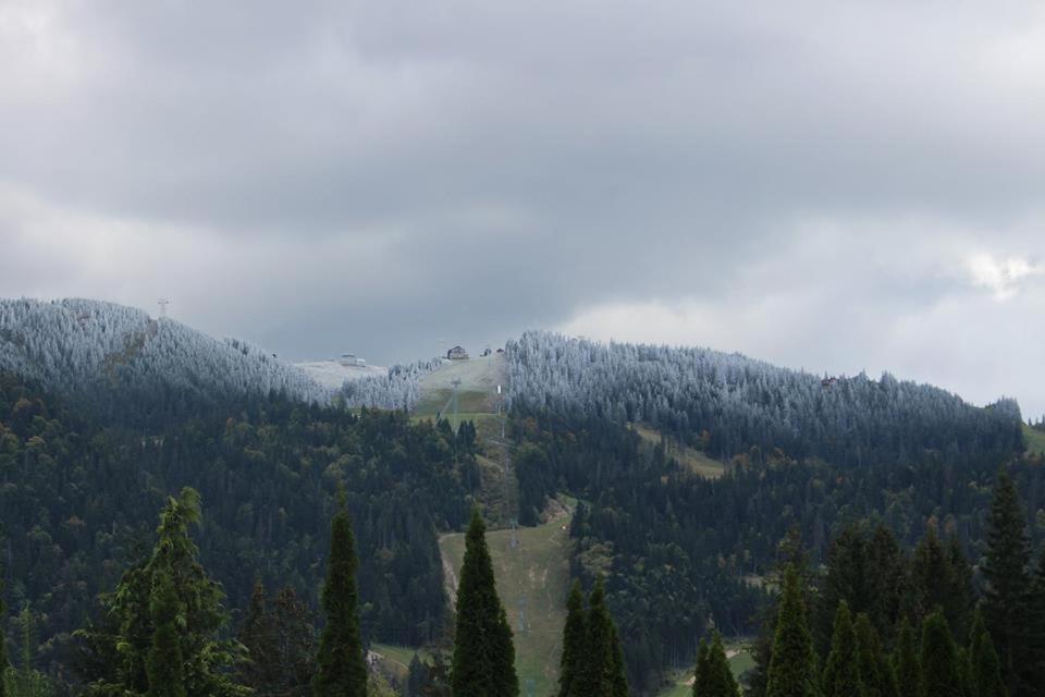 Pensiunea Colina Poiana Brasov Luaran gambar